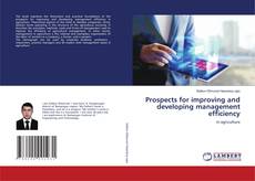 Bookcover of Prospects for improving and developing management efficiency