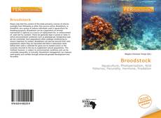 Broodstock kitap kapağı