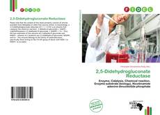 Copertina di 2,5-Didehydrogluconate Reductase