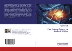 Borítókép a  Esophageal Cancer in Kashmir Valley - hoz