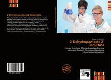 Copertina di 2-Dehydropantoate 2-Reductase