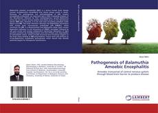 Copertina di Pathogenesis of Balamuthia Amoebic Encephalitis