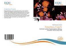 Copertina di Ampullary Cupula