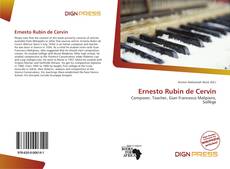 Capa do livro de Ernesto Rubin de Cervin 
