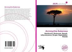 Copertina di Acronychia Suberosa