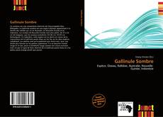 Copertina di Gallinule Sombre