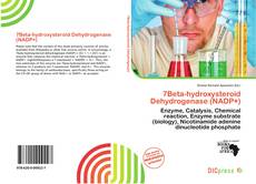 7Beta-hydroxysteroid Dehydrogenase (NADP+)的封面