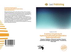 2-amino-4-hydroxy-6-hydroxymethyldihydropteridine diphosphokinase的封面