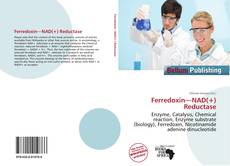 Ferredoxin—NAD(+) Reductase kitap kapağı