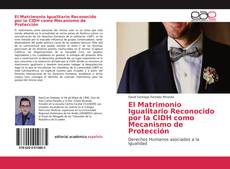 El Matrimonio Igualitario Reconocido por la CIDH como Mecanismo de Protección kitap kapağı