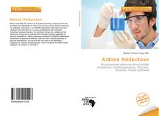 Обложка Aldose Reductase