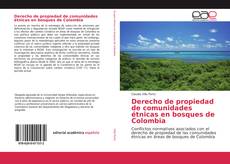 Bookcover of Derecho de propiedad de comunidades étnicas en bosques de Colombia