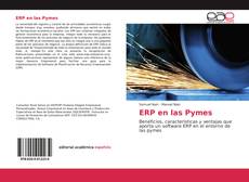 Обложка ERP en las Pymes