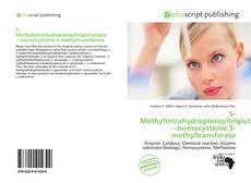 Bookcover of 5-Methyltetrahydropteroyltriglutamate—homocysteine S-methyltransferase
