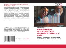 Обложка Medición de los indicadores de la eficiencia económica y social