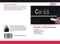 Bookcover of Costos y Presupuestos