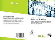 Copertina di Diphthine Synthase