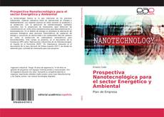 Buchcover von Prospectiva Nanotecnológica para el sector Energético y Ambiental