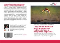 Buchcover von Cálculo de biomasa utilizando datos radiométricos e imágenes digitales