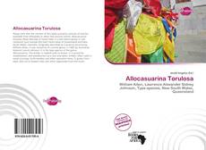 Portada del libro de Allocasuarina Torulosa