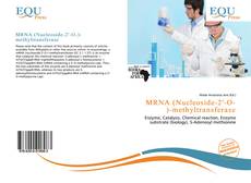 Copertina di MRNA (Nucleoside-2'-O-)-methyltransferase