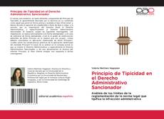 Bookcover of Principio de Tipicidad en el Derecho Administrativo Sancionador