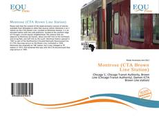 Copertina di Montrose (CTA Brown Line Station)