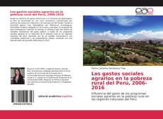 Borítókép a  Los gastos sociales agrarios en la pobreza rural del Perú, 2006-2016 - hoz