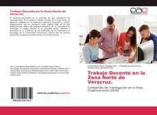 Capa do livro de Trabajo Decente en la Zona Norte de Veracruz. 