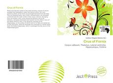 Copertina di Crus of Fornix