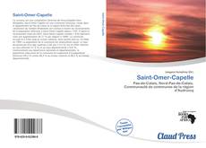 Couverture de Saint-Omer-Capelle