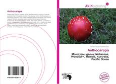 Couverture de Anthocarapa