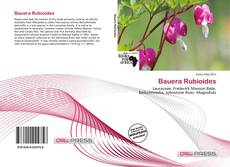 Copertina di Bauera Rubioides