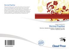Dermal Papillae的封面