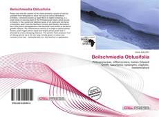 Copertina di Beilschmiedia Obtusifolia