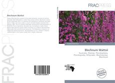 Borítókép a  Blechnum Wattsii - hoz