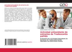 Actividad antioxidante de extractos de Tradescantia pallida的封面