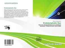 Portada del libro de Endolymphatic Sac