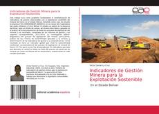 Copertina di Indicadores de Gestión Minera para la Explotación Sostenible