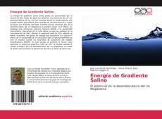 Buchcover von Energía de Gradiente Salino