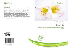 Обложка Bowenia