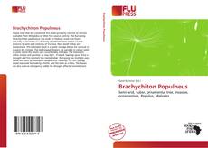 Brachychiton Populneus的封面