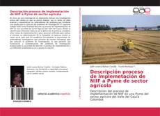 Borítókép a  Descripción proceso de Implemetación de NIIF a Pyme de sector agrícola - hoz