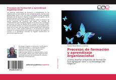 Procesos de formación y aprendizaje organizacional的封面