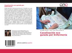 Buchcover von Canalización eco guiada por Enfermería