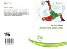 Capa do livro de Antun Labak 