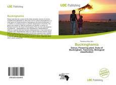 Copertina di Buckinghamia