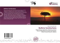 Buchcover von Bulbine Semibarbata
