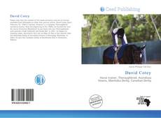 Portada del libro de David Cotey