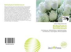 Copertina di Bulbophyllum Schillerianum